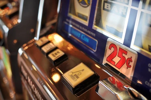Live dealer interface and betting options